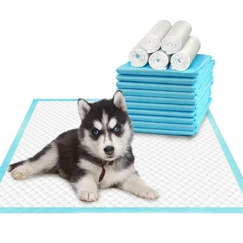 120 Stück saugfähige Haustier-Windel, Hunde-Trainings-Pee-Pads, Einweg-gesunde Windelmatte für Katzen, Hundewindeln, schnell trocknende Oberflächenmatte 120 Stück saugfähige Haustier-Windel, Hunde-Trainings-Pee-Pads, Einweg-gesunde Windelmatte für Katzen, Hundewindeln, schnell trocknende Oberflächenmatte von OPica