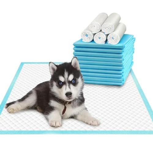 120 Stück saugfähige Haustier-Windel, Hunde-Trainings-Pee-Pads, Einweg-gesunde Windelmatte für Katzen, Hundewindeln, schnell trocknende Oberflächenmatte 120 Stück saugfähige Haustier-Windel, Hunde-Trainings-Pee-Pads, Einweg-gesunde Windelmatte für Katzen, Hundewindeln, schnell trocknende Oberflächenmatte von OPica