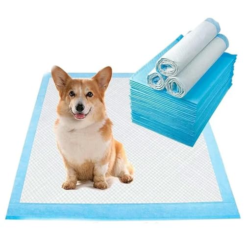 120Pcs Saugfähige Haustier Windel Hund Training Pee Pads Einweg Windel Matte Für Katzen Hund Windeln Quick-Dry Matte 120Pcs Saugfähige Haustier Windel Hund Training Pee Pads Einweg Windel Matte Für Katzen Hund Windeln Quick-Dry Matte von OPica