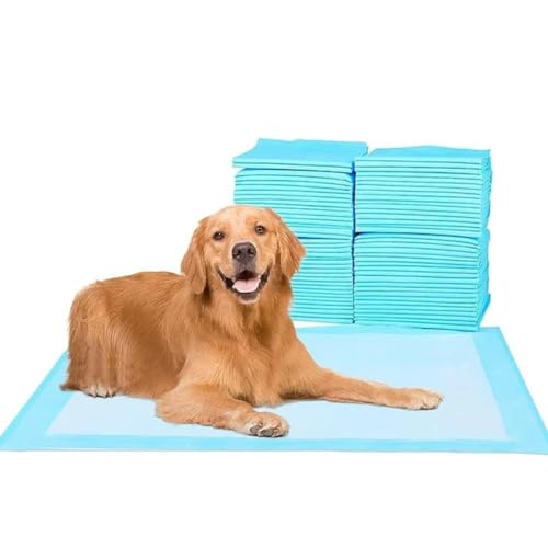 120Pcs Saugfähige Haustier Windel Hund Training Pee Pads Einweg Windel Matte Für Katzen Hund Windeln Quick-Dry Matte 120Pcs Saugfähige Haustier Windel Hund Training Pee Pads Einweg Windel Matte Für Katzen Hund Windeln Quick-Dry Matte von OPica
