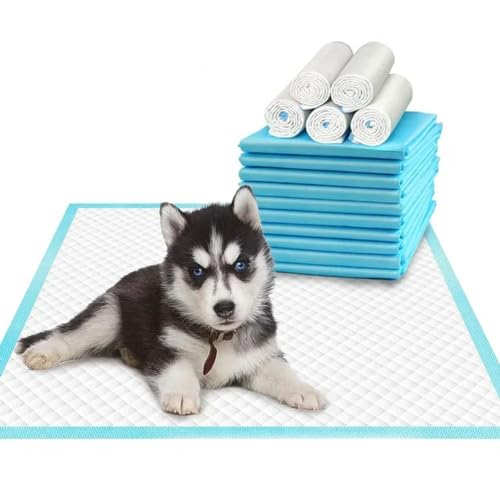 Saugfähige Haustierwindel, Hundetraining, Pee-Pads, Einweg-Windelmatte für Katzen, Hundewindeln, schnell trocknende Matte Saugfähige Haustierwindel, Hundetraining, Pee-Pads, Einweg-Windelmatte für Katzen, Hundewindeln, schnell trocknende Matte von OPica