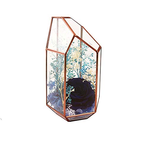Pflanzenbehälter, langlebig, transparent, unregelmäßiges Prisma, geometrisches Glas-Terrarium für Sukkulenten, Luftpflanzen, Hochzeit, Couchtisch (Roségold) (Farbe: Roségold, Größe von OQHAIR