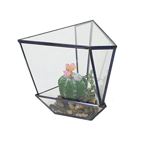 Terrarien, modernes Metallglas, unregelmäßig, geometrisch, für Zuhause und Hochzeit, Heimdekoration, Pflanzgefäße für den Innenbereich, Behälter für Pflanzen (Farbe: Messing, Größe von OQHAIR