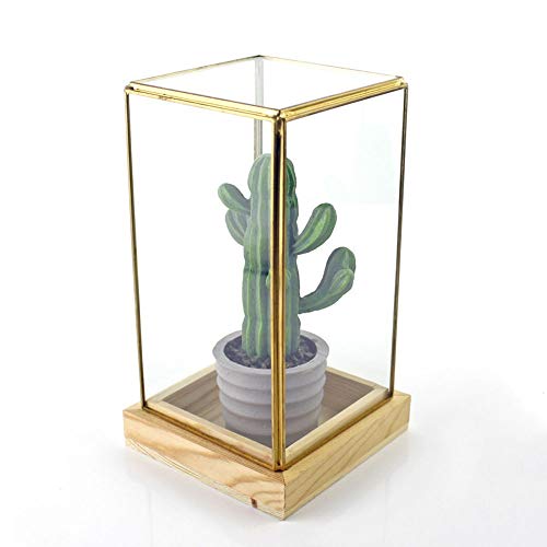 Terrarium, Vintage-Couchtisch, für Hochzeiten, geometrische Vitrine, saftige Moosfarne, Kristallkugel (Farbe: Schwarz, Größe: 10 x 10 x 20 cm) (Messing 10 x 10 x 20 cm) von OQHAIR