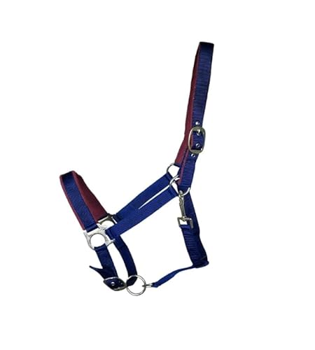 OR S-LINE Halfter Soft-Basic weich unterlegtes Weidenhalfter für Pferde verstellbar, Cob, Pony verfügbar (Blau, Full) von OR S-LINE