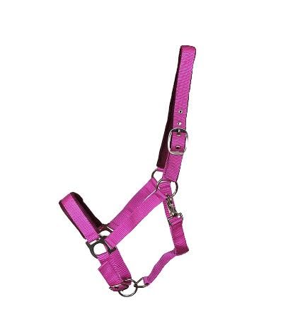OR S-LINE Halfter Soft-Basic weich unterlegtes Weidenhalfter für Pferde verstellbar, Cob, Pony verfügbar (Pink, Shetty) von OR S-LINE