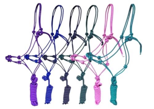 OR S-LINE Reithalfter, Knotenhalfter Set inkl. Strick für Bodenarbeit Full/Warmblut für Pferde Knotenhalfterset mit Stricklänge 2,80m (lila) von OR S-LINE