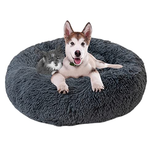 Beruhigendes Hundebett, waschbar, Donut-Haustierbett für Katzen, rundes Haustierkissen, Welpen-Hundebetten für den Innenbereich, rutschfestes Welpen-Kätzchen-Kuschelbett, 140 cm, Dunkelgrau Beruhigendes Hundebett, waschbar, Donut-Haustierbett für Katzen, rundes Haustierkissen, Welpen-Hundebetten für den Innenbereich, rutschfestes Welpen-Kätzchen-Kuschelbett, 140 cm, Dunkelgrau von OREAMY