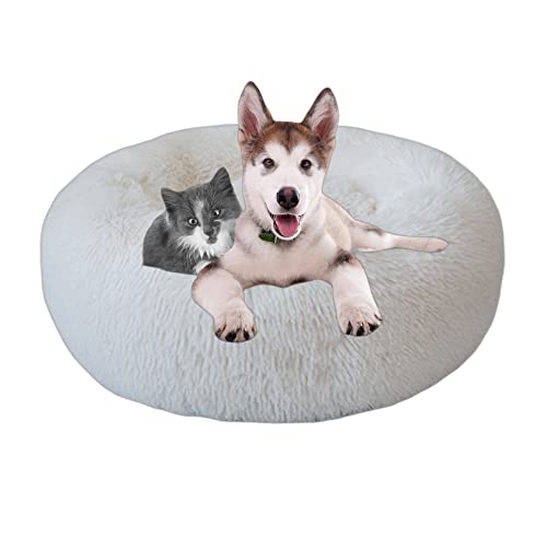 Beruhigendes Hundebett, waschbar, Donut-Haustierbett für Katzen, rundes Haustierkissen, Welpensofa, Hundebetten für den Innenbereich, rutschfest, für Welpen, Kätzchen, Kuschelbett, 120 cm, Weiß Beruhigendes Hundebett, waschbar, Donut-Haustierbett für Katzen, rundes Haustierkissen, Welpensofa, Hundebetten für den Innenbereich, rutschfest, für Welpen, Kätzchen, Kuschelbett, 120 cm, Weiß von OREAMY