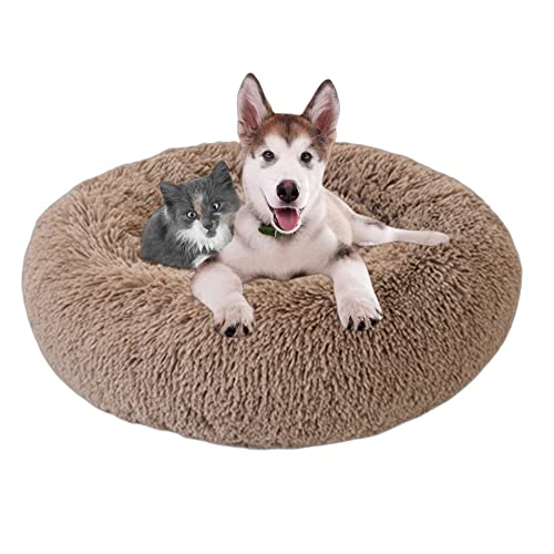 Beruhigendes Hundebett, waschbar, Donut-Haustierbett für Katzen, rundes Haustierkissen, Welpensofa, Hundebetten für den Innenbereich, rutschfest, für Welpen, Kätzchen, Kuschelbett, 160 cm, Khaki Beruhigendes Hundebett, waschbar, Donut-Haustierbett für Katzen, rundes Haustierkissen, Welpensofa, Hundebetten für den Innenbereich, rutschfest, für Welpen, Kätzchen, Kuschelbett, 160 cm, Khaki von OREAMY