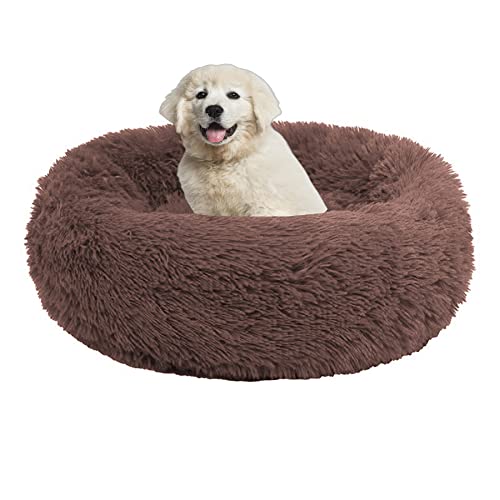 Hundebetten für kleine/mittelgroße/große Hunde mit rutschfester Unterseite, 20 cm hoch, beruhigend, großes Haustierbett, flauschiges Kuschelkissen, Haustiernest, maschinenwaschbar, 120 cm, Kaffee Hundebetten für kleine/mittelgroße/große Hunde mit rutschfester Unterseite, 20 cm hoch, beruhigend, großes Haustierbett, flauschiges Kuschelkissen, Haustiernest, maschinenwaschbar, 120 cm, Kaffee von OREAMY