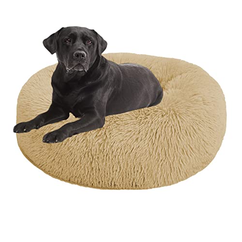 Rundes Haustierbett, beruhigendes Hunde- und Katzenbett, großes Hundebett, waschbar, Donut-Hundebett, mittelgroß, klein, waschbar, Welpen-Kuschelbett, Kätzchenbett, Hundebett für Hundehauskäfig, 160 cm, Hellgelb Rundes Haustierbett, beruhigendes Hunde- und Katzenbett, großes Hundebett, waschbar, Donut-Hundebett, mittelgroß, klein, waschbar, Welpen-Kuschelbett, Kätzchenbett, Hundebett für Hundehauskäfig, 160 cm, Hellgelb von OREAMY