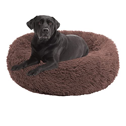 Rundes Haustierbett, beruhigendes Hundebett, großes Hundebett, waschbar, Donut-Hundebett, mittelgroß, klein, waschbar, Welpen, Kuschelbett, Kätzchenbett, Hundebett für Hundehütte, 110 cm, Kaffee Rundes Haustierbett, beruhigendes Hundebett, großes Hundebett, waschbar, Donut-Hundebett, mittelgroß, klein, waschbar, Welpen, Kuschelbett, Kätzchenbett, Hundebett für Hundehütte, 110 cm, Kaffee von OREAMY