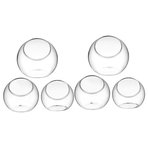 6 STK Terrarienbehälter aus Glas Kuppel Kugelpflanzen Terrarium Terranium Anlage kleines Terrarium bürodeko büro Dekoration pflanzplane Sukkulenten-Übertopf Luftpflanzen Terrarium ORFOFE 6 STK Terrarienbehälter aus Glas Kuppel Kugelpflanzen Terrarium Terranium Anlage kleines Terrarium bürodeko büro Dekoration pflanzplane Sukkulenten-Übertopf Luftpflanzen Terrarium ORFOFE von ORFOFE
