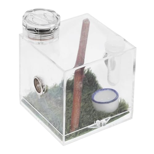 ORFOFE Kasten Springspinnen-Zuchtbox Spinnen-Terrarium Spinnenlandschaftskäfig Froschträger Gehege Spinnenfutterbox Spinnenbeobachtungsbox gehäuse Spinnenfall Zuchtträger Holz von ORFOFE