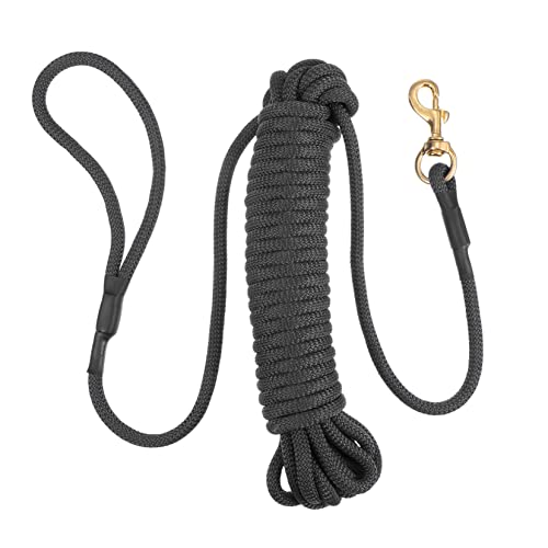 ORFOFE Leine 10 M Für Große Hunde Für Outdoor-aktivitäten Sicheres Trainieren Und Spazierengehen Mit Ihrem Haustier ORFOFE Leine 10 M Für Große Hunde Für Outdoor-aktivitäten Sicheres Trainieren Und Spazierengehen Mit Ihrem Haustier von ORFOFE