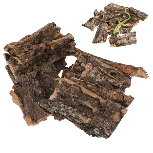 ORFOFE 10 Stück Teiliges Schildkröten Sonnenplatz Terrarium Dekoration aus Langlebiger Farblich Besonderer Baumrinde Kletterfreundlich für Bartagamen Geckos Eidechsen und Andere von ORFOFE