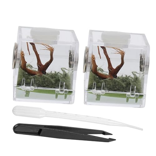 ORFOFE 2 Set Springspinnen Zuchtbox Springspinne Terrarium Spinne Landschaft Fall Muschel Glas von ORFOFE