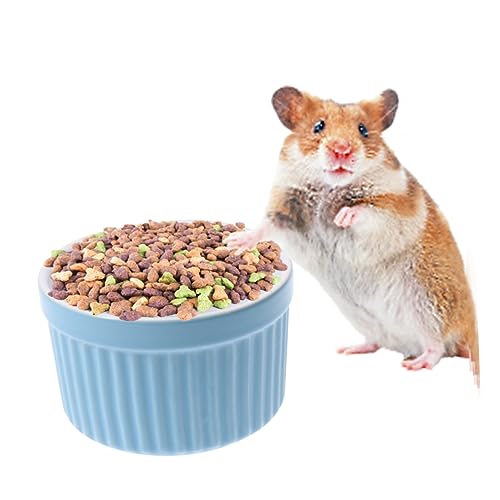 ORFOFE 2 Stück Hamsternapf Kleine Katzennapf Edelstahl Hundenäpfe Hundenapf Edelstahl Hundenapf Keramik Schüssel Hamster Kleiner Hundenapf Hamster Feeder Kätzchen Napf Haustier von ORFOFE