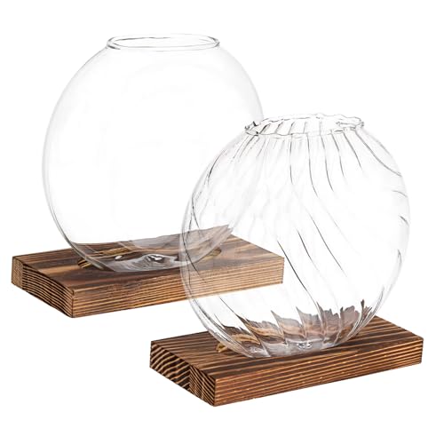 ORFOFE 2stücke Glasblumenvasen Transparente Glastöpfe Für Pflanzen Terrarienvasen Für Blumenarrangements Tischvasen Als Tafelaufsatz Kleine Glaspflanzgefäße Für Hydrokultur ORFOFE 2stücke Glasblumenvasen Transparente Glastöpfe Für Pflanzen Terrarienvasen Für Blumenarrangements Tischvasen Als Tafelaufsatz Kleine Glaspflanzgefäße Für Hydrokultur von ORFOFE