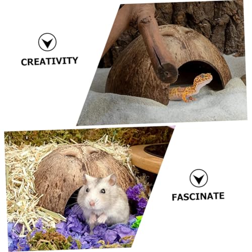 ORFOFE 2 Stück Reptilienversteck Kokosnuss Höhle Verschleißfest Terrarien deko Reptilienversteck Zufluchtsort für Geckos Eidechsen Amphibien Kleintiere von ORFOFE