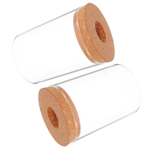 ORFOFE 2pcs Desktop Glaspflanze Terrarium Pflanzer Für Sukkulente Moos Miniaturgarten Landschaft Betta Fischtank Innenpflanzen Büro Dekoration 450 Ml von ORFOFE