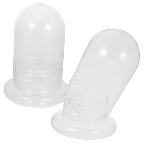 ORFOFE 2er-Pack Flaschen-moosglas-landschaftshalter-Flasche für Wohnkultur Garten Terrarium ORFOFE 2er-Pack Flaschen-moosglas-landschaftshalter-Flasche für Wohnkultur Garten Terrarium von ORFOFE