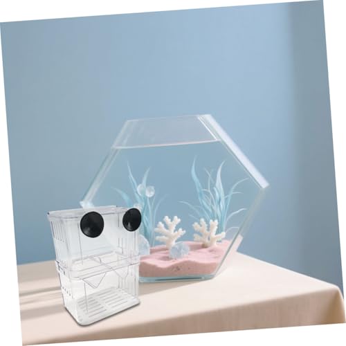 ORFOFE 4 Stück Aquarium Fischeier Inkubator Fisch Inkubator Clownfisch Aufzuchtbecken Aquarium Fischbrut Isolationsbecher Aggressive Fisch Trennwand Transparent von ORFOFE