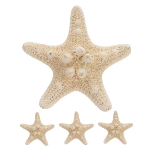 ORFOFE 4 Stück Natürliche Flache Seesterne Deko Handverlesene Meeresornamente Nachhaltige Muschelverzierung für DIY Basteln Wohnraum Stranddeko Geschenkidee von ORFOFE
