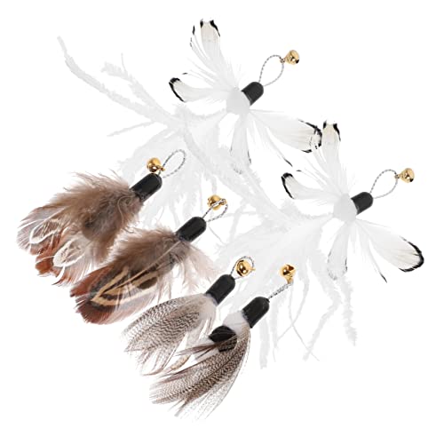 ORFOFE 6 Teiliges Katzenspielzeug Set Mit Ersatzköpfen Für Interaktive Katzenangel Katzenspielzeug Mit Federn Und Insekten Design Für Stundenlangen Spielspaß ORFOFE 6 Teiliges Katzenspielzeug Set Mit Ersatzköpfen Für Interaktive Katzenangel Katzenspielzeug Mit Federn Und Insekten Design Für Stundenlangen Spielspaß von ORFOFE