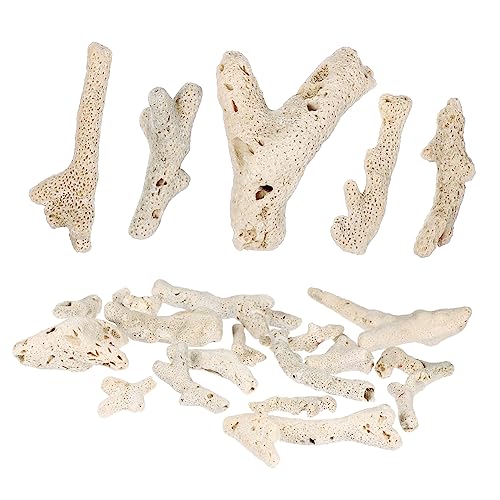 ORFOFE Aquarium Filtermaterial 500 g Dekorative Steine Für Aquarien Zufälligen Farben Größe 3 Ideal Für Aquascaping Und Als Bodengrund Deko ORFOFE Aquarium Filtermaterial 500 g Dekorative Steine Für Aquarien Zufälligen Farben Größe 3 Ideal Für Aquascaping Und Als Bodengrund Deko von ORFOFE
