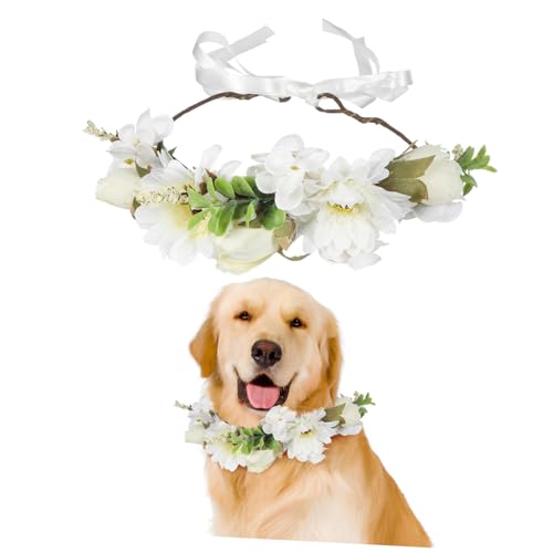 ORFOFE Blumen-Stirnband, Blumenkrone, Blumen-Hunde-Stirnband, Blumenkrone, Brautkrone, Blumen-Stirnband, Haarblumen-Accessoires Für Haustiere ORFOFE Blumen-Stirnband, Blumenkrone, Blumen-Hunde-Stirnband, Blumenkrone, Brautkrone, Blumen-Stirnband, Haarblumen-Accessoires Für Haustiere von ORFOFE