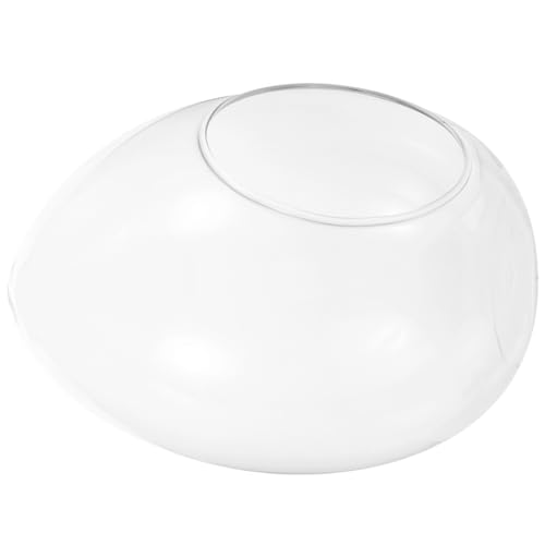 ORFOFE Glas Terrarium Pflanzflasche DIY Micro Landschaftsbau Flaschengarten Dekoration Transparent für Innenräume Tischschmuck Natürliche Raumgestaltung von ORFOFE