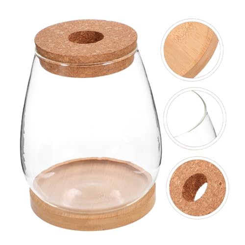 ORFOFE Glas Terrarium Pflanzflasche mit Deckel Halter Hydroponik Vase für Flaschengarten Wohnzimmer Büro Tischdeko Mikrolandschaft Dekoration von ORFOFE