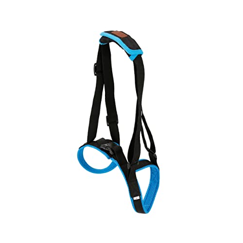 ORFOFE Pet Stützgurt Für Hunde Hilfreicher GEH Treppenassistent Für Ältere Und Verletzte Hunde s Blau Atmungsaktives Mesh-gewebe Unterstützung Für Beinvorteile von ORFOFE