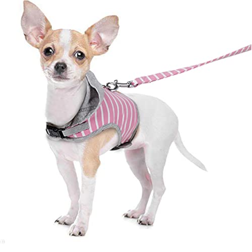 ORFOFE Haustier Pullover Haustier Westengeschirre Haustiergeschirr Katzengeschirr Und Leine Katzenleine No Pull Leine Heimtierbedarf Brustgurt Für Haustiere Katzenwesten ORFOFE Haustier Pullover Haustier Westengeschirre Haustiergeschirr Katzengeschirr Und Leine Katzenleine No Pull Leine Heimtierbedarf Brustgurt Für Haustiere Katzenwesten von ORFOFE
