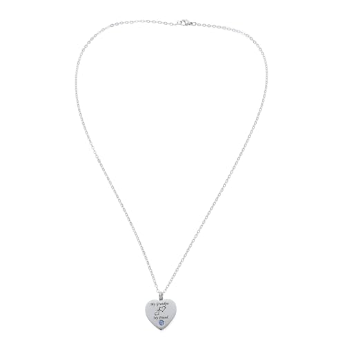 ORFOFE Herzförmiger Urne Für Gedenk Schmuck Für Haustiere Und Angehörige Tragbares Erinnerungsstück Für Und Langlebig Und von ORFOFE