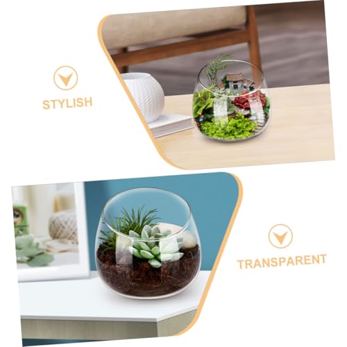 ORFOFE Klare Glasvase Schräger Schnitt Bubble Bowl Pflanzen Terrarium Tischdeko Glas Pflanzgefäß für Sukkulenten Luftpflanzen Home Office Dekoration von ORFOFE