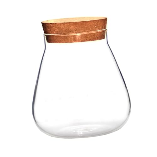 ORFOFE Klarglas DIY Pflanzglas mit Korkstopfen Transparentes Glasgefäß für Sukkulenten Dekoratives Flaschengarten Terrarium Langlebiges Glasdisplay für Zuhause und Bastelprojekte ORFOFE Klarglas DIY Pflanzglas mit Korkstopfen Transparentes Glasgefäß für Sukkulenten Dekoratives Flaschengarten Terrarium Langlebiges Glasdisplay für Zuhause und Bastelprojekte von ORFOFE
