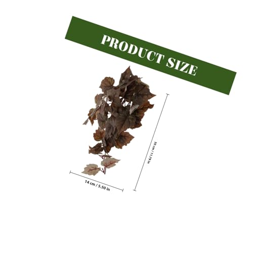 ORFOFE Künstliche Hängepflanze mit Saugnapf für Terrarien und Aquarien Realistische Reptilien kletterdekoration Pflegeleicht Sicher für Amphibien und Fische Dekoratives Habitat zubehör ORFOFE Künstliche Hängepflanze mit Saugnapf für Terrarien und Aquarien Realistische Reptilien kletterdekoration Pflegeleicht Sicher für Amphibien und Fische Dekoratives Habitat zubehör von ORFOFE