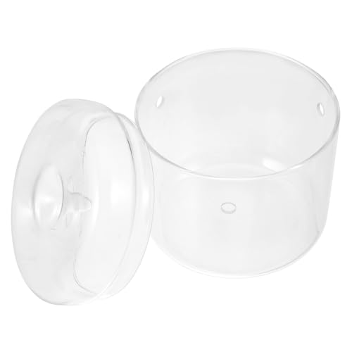 ORFOFE Mini Terrarium Glasflasche für Mooslandschaft DIY Micro Landscape Bottle Transparent Pflanzenterrarium für Büro Wohnraum Dekoration Ökologische biotopgestaltung von ORFOFE
