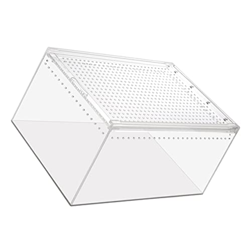 ORFOFE Multifunktionaler Transparenter Reptilienkäfig für Schlangen Frösche und Spinnen mit Belüftung für Optimale Luftzirkulation und Tragbar ORFOFE Multifunktionaler Transparenter Reptilienkäfig für Schlangen Frösche und Spinnen mit Belüftung für Optimale Luftzirkulation und Tragbar von ORFOFE