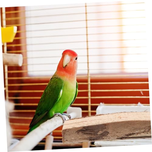 ORFOFE Natürliche Holz Sitzstange für Papageien mit Plattform und Ästen Stabile Vogelkäfig Ständer für Wellensittiche und Kleine Vögel Vielseitiges Kauspielzeug und Schaukelspielzeug von ORFOFE