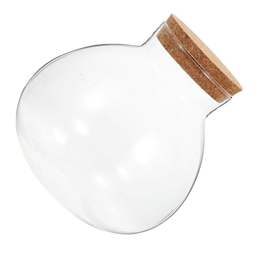 ORFOFE Ökologische Mikrolandschaftsflasche Knospenvase ökologische Glasflasche klare verschlossene Dose saftiges Glas Luftpflanzenglas Terrarium-Displayglas Tabelle Vase Kork Transparent von ORFOFE