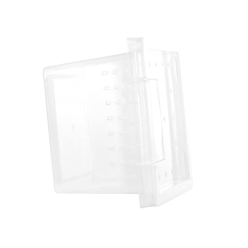 ORFOFE Reptilien Aufzuchtbox aus Kunststoff Transparente Zuchtbehälter für Schildkröten Spinnen Schlangen und Kleine Haustiere mit Lüftungsöffnungen Feuchtigkeitsbeständig und Sicher von ORFOFE