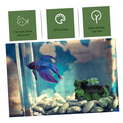 ORFOFE Reptilien Futternapf aus Resin Großes Futter und Wasserschälchen für Schildkröten und Eidechsen Glatte Oberfläche Terrarien Zubehör für Kleine Reptilien und Wasserschildkröten ORFOFE Reptilien Futternapf aus Resin Großes Futter und Wasserschälchen für Schildkröten und Eidechsen Glatte Oberfläche Terrarien Zubehör für Kleine Reptilien und Wasserschildkröten von ORFOFE