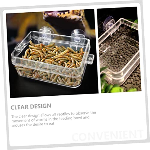 ORFOFE Reptilien futterschale mit Saugnapf Große Transparente Futterbox gegen Ausbruch Vielseitig als Wassernapf und Futternapf für Eidechsen Schildkröten und Terrarien Geeignet ORFOFE Reptilien futterschale mit Saugnapf Große Transparente Futterbox gegen Ausbruch Vielseitig als Wassernapf und Futternapf für Eidechsen Schildkröten und Terrarien Geeignet von ORFOFE