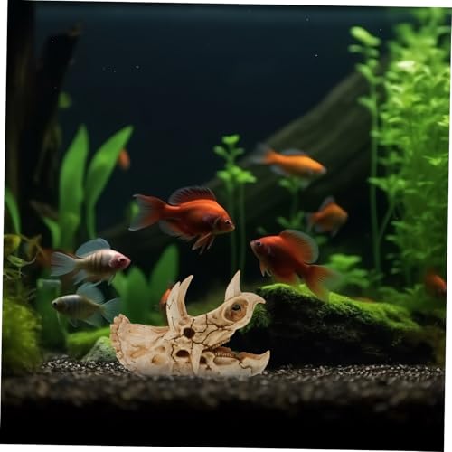 ORFOFE Resin Dinosaurier schädel Versteck Aquarium Deko aus Langlebigem Harz für Fischbecken Authentisches Terrarien Ornament Bärtige Drachen Versteck Höhle und Natürliche ORFOFE Resin Dinosaurier schädel Versteck Aquarium Deko aus Langlebigem Harz für Fischbecken Authentisches Terrarien Ornament Bärtige Drachen Versteck Höhle und Natürliche von ORFOFE