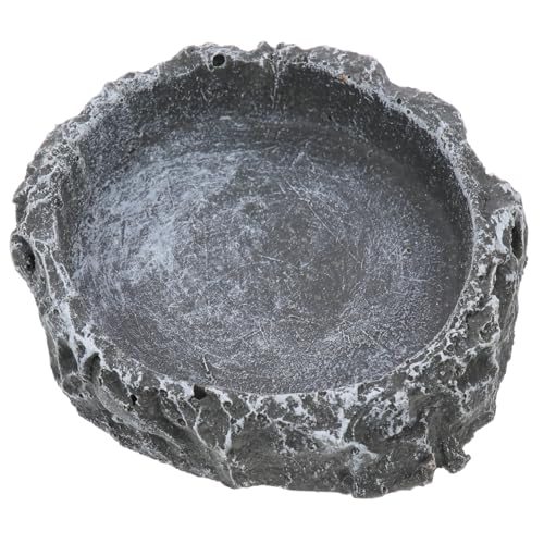 ORFOFE Tortoise Feeder Futterschale für Reptilien und Terrarien Natürliche Farbe Sicherer Futter Wassernapf für Schildkröten Eidechsen Schlangen und Kleine Reptilien Praktisches ORFOFE Tortoise Feeder Futterschale für Reptilien und Terrarien Natürliche Farbe Sicherer Futter Wassernapf für Schildkröten Eidechsen Schlangen und Kleine Reptilien Praktisches von ORFOFE