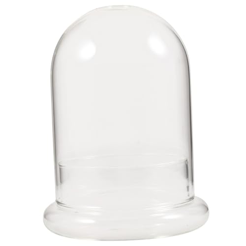 ORFOFE Transparente Glasflasche Mikro Landschaft Terrarium mit Großem Ökologische DIY Pflanzenvase für Moos Blumen Sukkulenten Dekoration für Zuhause Büro Garten ORFOFE Transparente Glasflasche Mikro Landschaft Terrarium mit Großem Ökologische DIY Pflanzenvase für Moos Blumen Sukkulenten Dekoration für Zuhause Büro Garten von ORFOFE